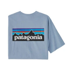 Patagonia Men's P-6 Logo Responsibili-Tee -Winter Menswear Store WBF22 38504 STME